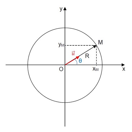 cercle.jpg